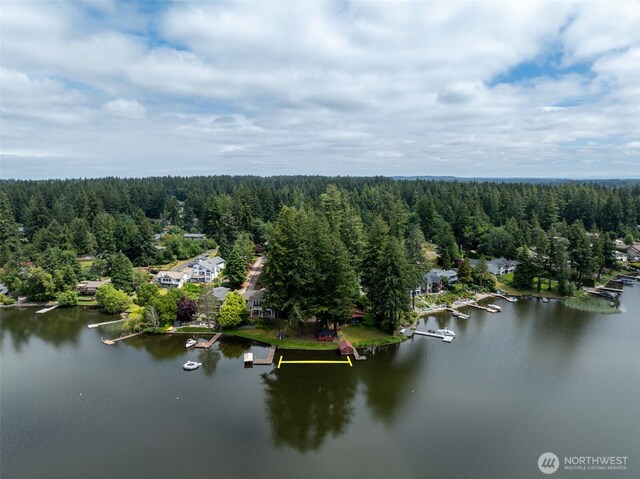 3621 Walthew Dr SE, Lacey, WA 98503 - photo 9