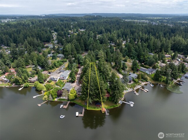 3621 Walthew Dr SE, Lacey, WA 98503 - photo 13