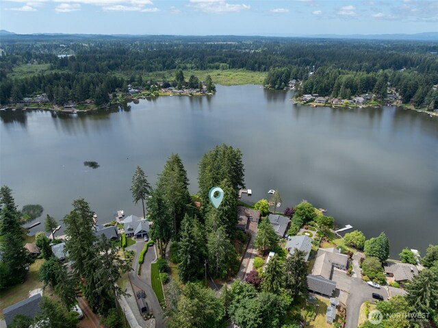 3621 Walthew Dr SE, Lacey, WA 98503 - photo 15
