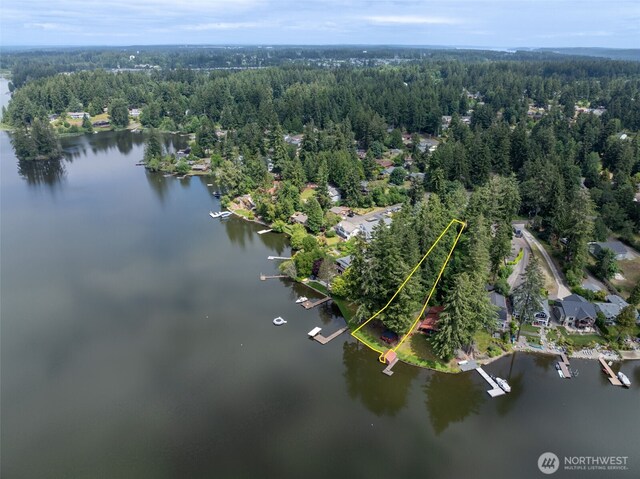 3621 Walthew Dr SE, Lacey, WA 98503 - photo 16