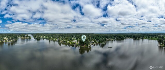 3621 Walthew Dr SE, Lacey, WA 98503 - photo 17