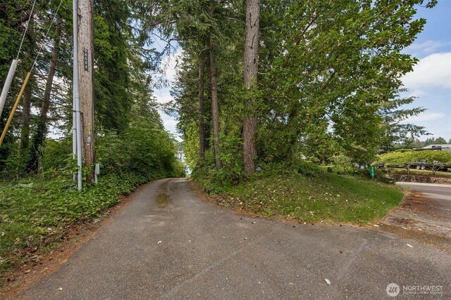 3621 Walthew Dr SE, Lacey, WA 98503 - photo 20