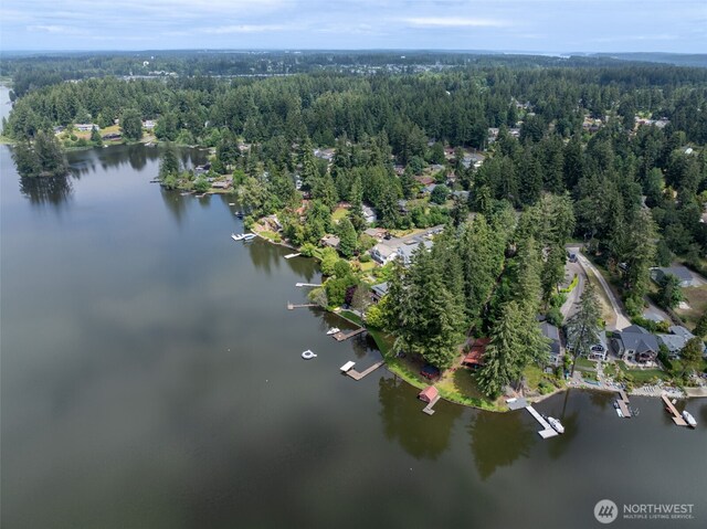3621 Walthew Dr SE, Lacey, WA 98503 - photo 21