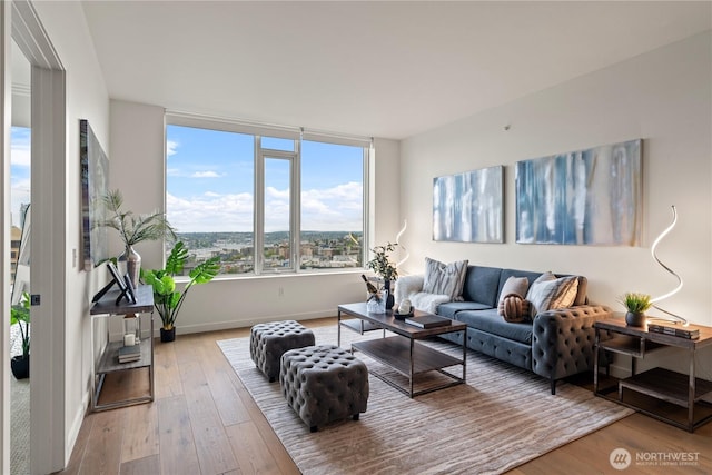 living area featuring baseboards and hardwood / wood-style floors