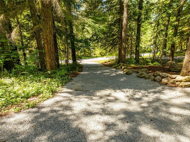 7502 Glacier Spgs, Deming, WA 98244 - view of road with a wooded view