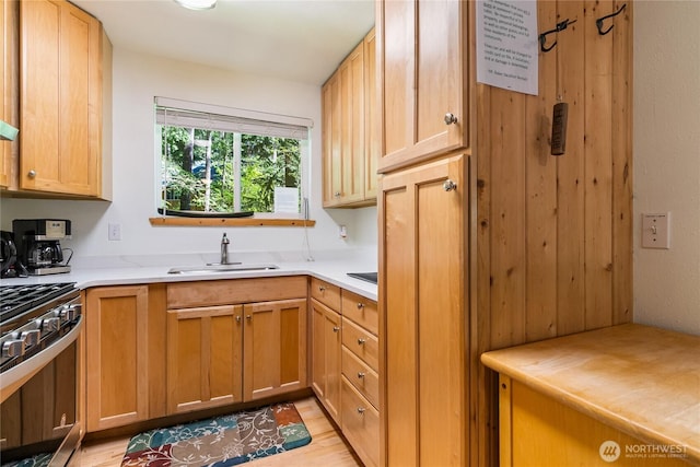 7502 Glacier Spgs, Deming, WA 98244 - kitchen featuring stainless steel electric range oven, light countertops, and light wood finished floors