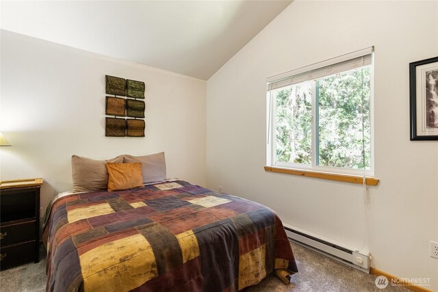 7502 Glacier Spgs, Deming, WA 98244 - carpeted bedroom with baseboard heating and vaulted ceiling
