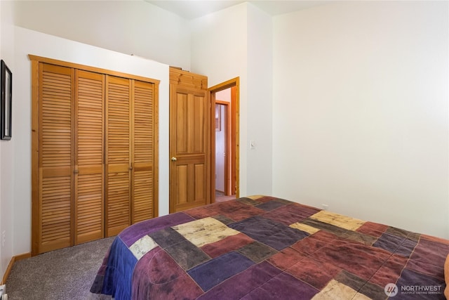 7502 Glacier Spgs, Deming, WA 98244 - carpeted bedroom with a closet
