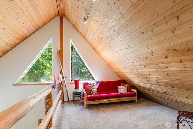 7502 Glacier Spgs, Deming, WA 98244 - living area featuring wood ceiling, vaulted ceiling, and carpet floors