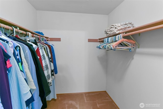 spacious closet with carpet flooring