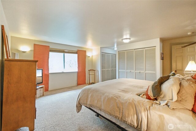 carpeted bedroom with multiple closets