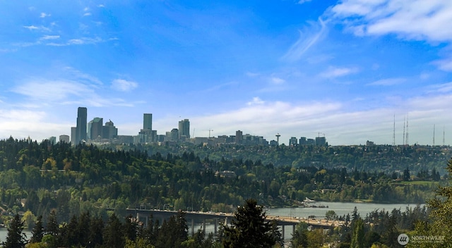 13445 SE 43rd St, Bellevue, WA 98006 - view of city with a water view and a forest view