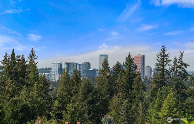 13445 SE 43rd St, Bellevue, WA 98006 - city view