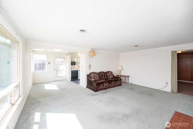living room featuring carpet floors and visible vents