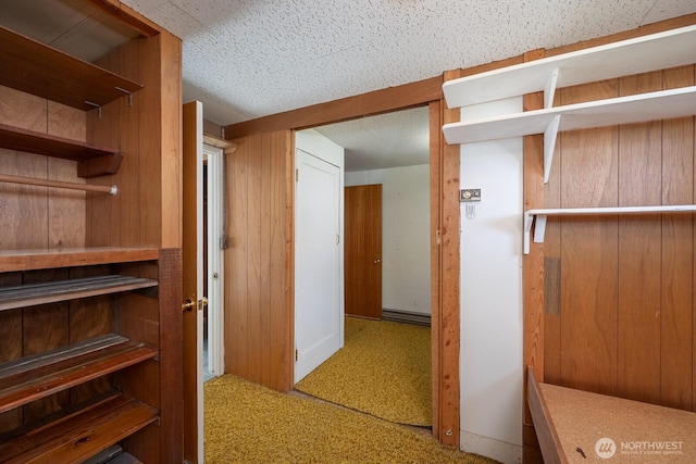 walk in closet featuring carpet