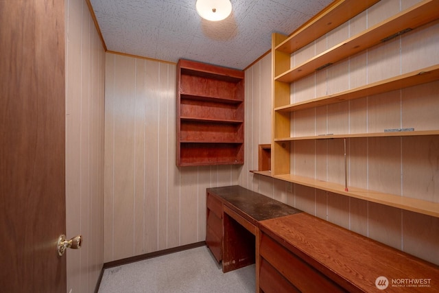unfurnished office featuring wooden walls, baseboards, light colored carpet, and built in desk