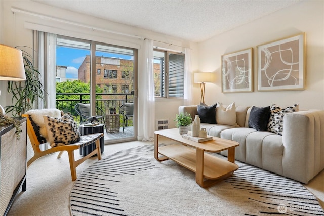 275 W Roy St Unit 216, Seattle, WA 98119 - living area with carpet floors and a textured ceiling