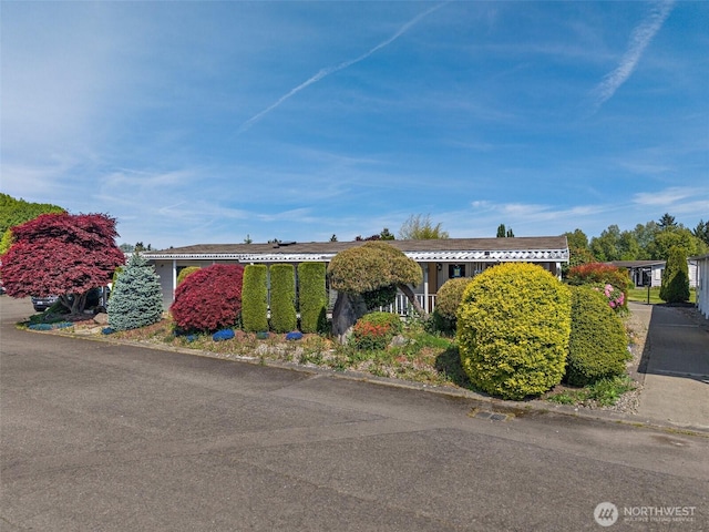 1402 22nd St NE Unit 65, Auburn, WA 98002 - view of building exterior