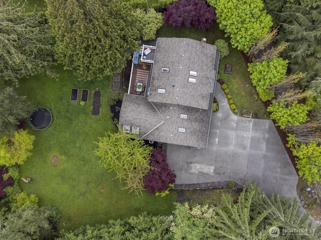 drone / aerial view