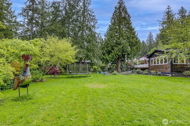 view of yard with a wooden deck and a trampoline