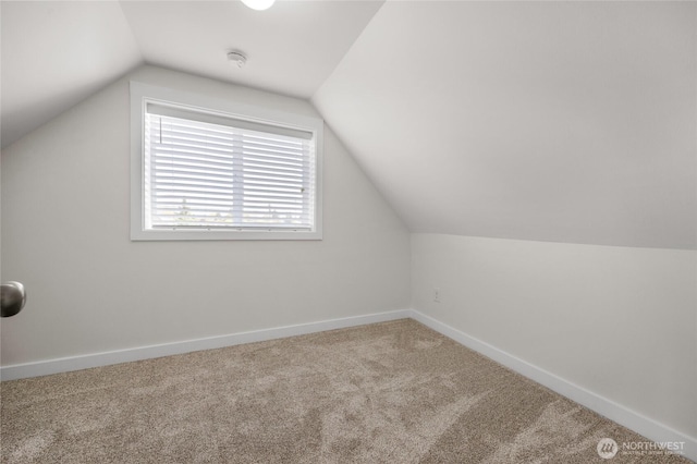 bonus room featuring carpet floors, baseboards, and lofted ceiling