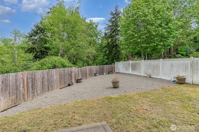 view of yard featuring a fenced backyard and a patio area