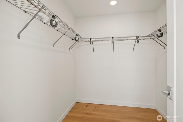 2414 NW 64th St Unit A, Seattle, WA 98107 - walk in closet featuring light wood-style flooring