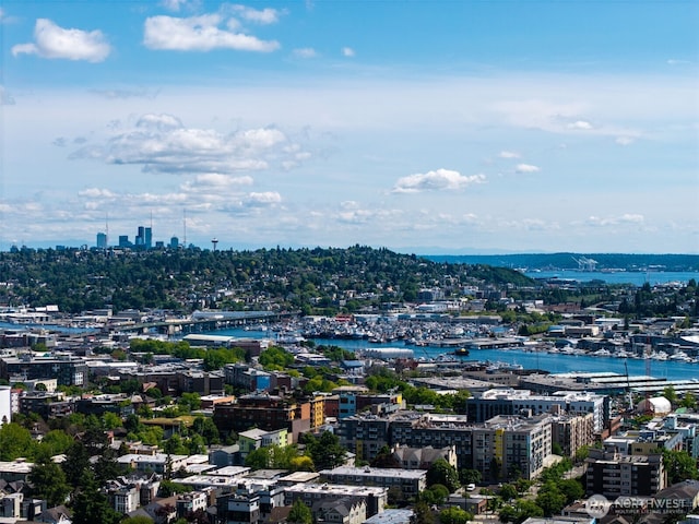2414 NW 64th St Unit A, Seattle, WA 98107 - view of urban area featuring a nearby body of water