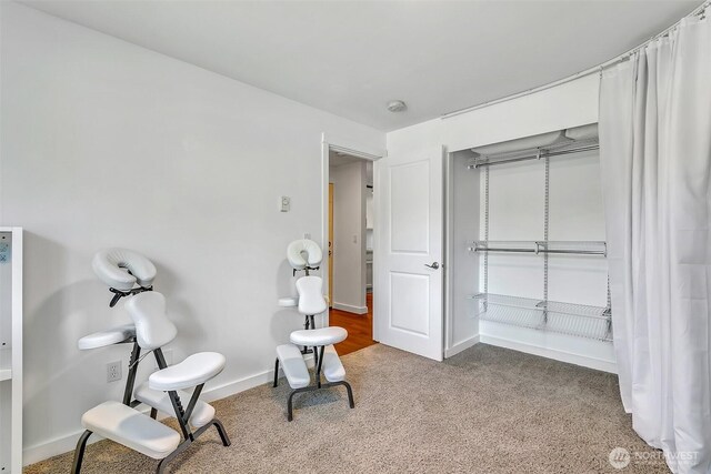 living area featuring baseboards and carpet