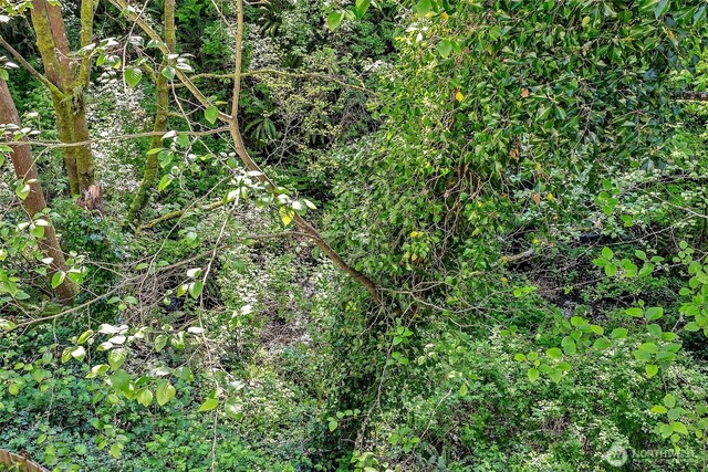 view of nature