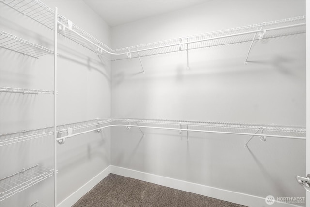spacious closet with dark carpet
