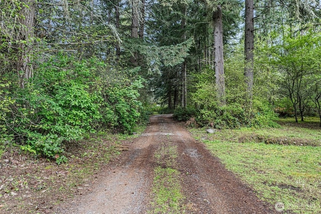 15845 118th Ln SE, Yelm, WA 98597 - view of road featuring a wooded view