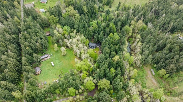15845 118th Ln SE, Yelm, WA 98597 - drone / aerial view