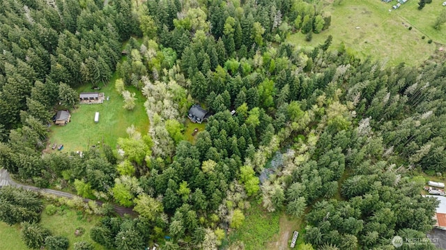 15845 118th Ln SE, Yelm, WA 98597 - aerial view