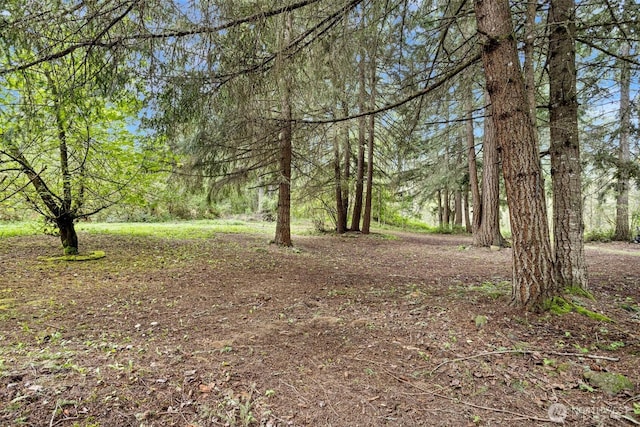 15845 118th Ln SE, Yelm, WA 98597 - view of yard featuring a wooded view