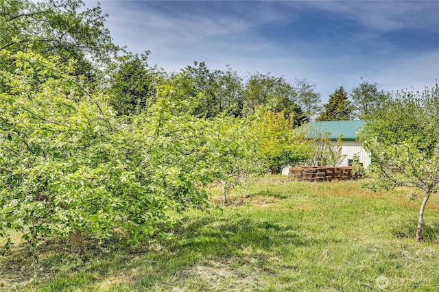 1664 Shine Rd, Port Ludlow, WA 98365 - view of yard