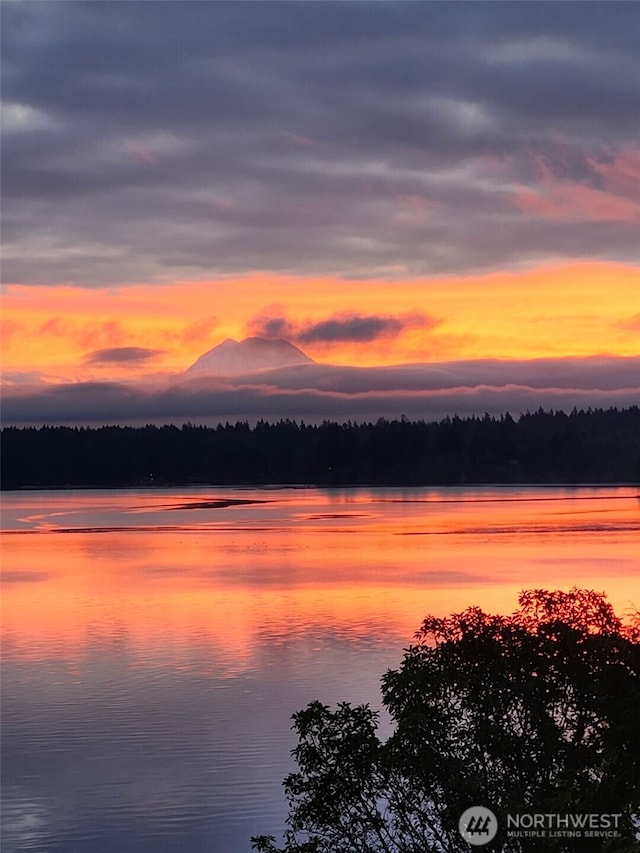 110 SE Bay E Dr, Shelton, WA 98584 - water view