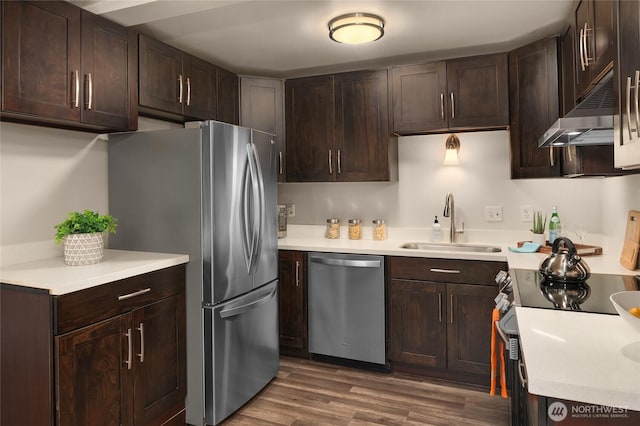kitchen featuring under cabinet range hood, stainless steel appliances, a sink, and dark brown cabinets