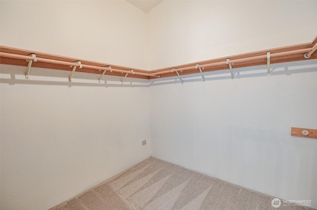 4310 Brookdale Rd E, Tacoma, WA 98446 - spacious closet featuring carpet