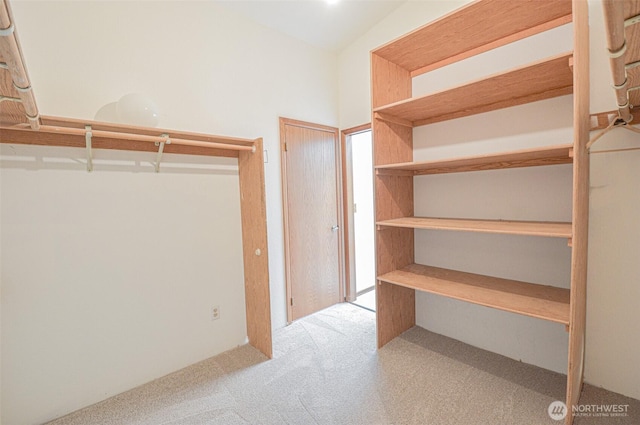 4310 Brookdale Rd E, Tacoma, WA 98446 - spacious closet with carpet flooring