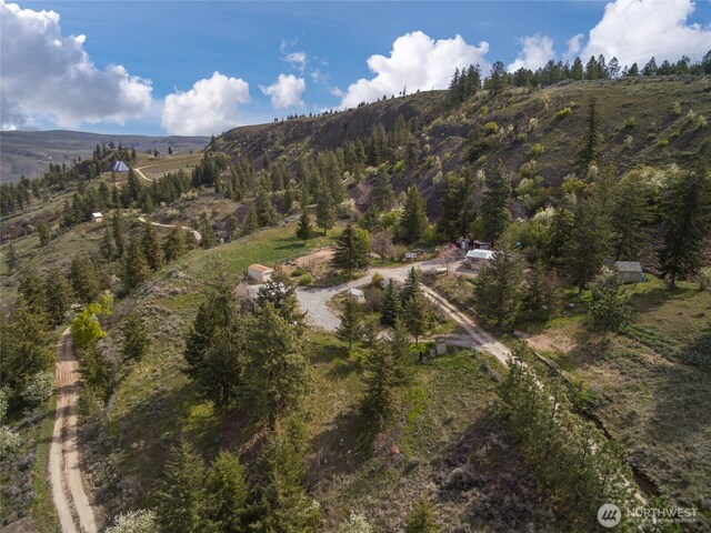 birds eye view of property with a mountain view