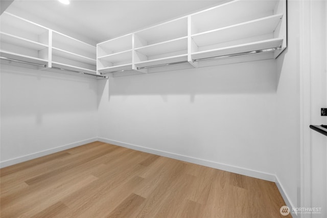 walk in closet featuring light wood finished floors