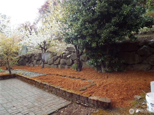 view of yard with a patio area