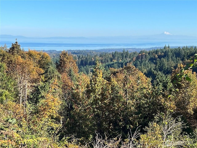 9999 E Half Mile Rd, Lot B, Port Angeles, WA 98362 - photo 9