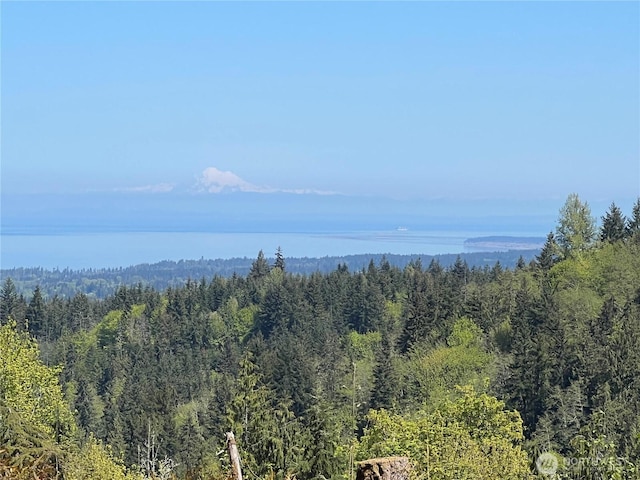 9999 E Half Mile Rd, Lot B, Port Angeles, WA 98362 - photo 1