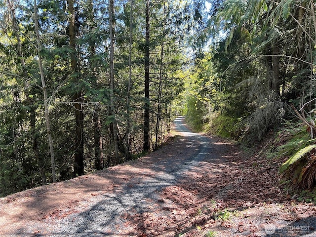9999 E Half Mile Rd, Lot B, Port Angeles, WA 98362 - photo 2