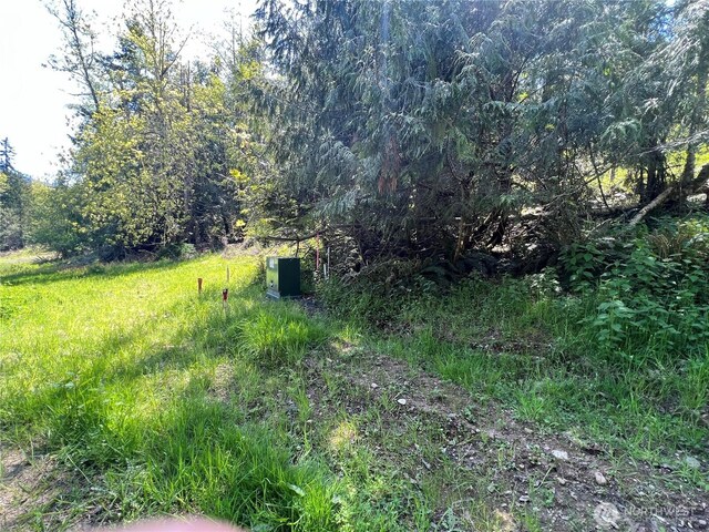 9999 E Half Mile Rd, Lot B, Port Angeles, WA 98362 - photo 3