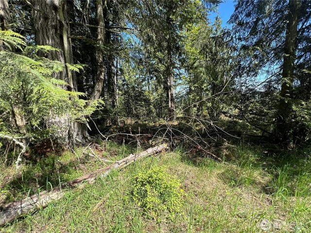 9999 E Half Mile Rd, Lot B, Port Angeles, WA 98362 - photo 4