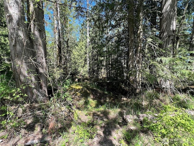 9999 E Half Mile Rd, Lot B, Port Angeles, WA 98362 - photo 5