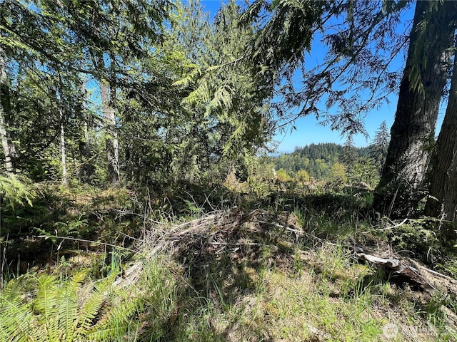 9999 E Half Mile Rd, Lot B, Port Angeles, WA 98362 - photo 6